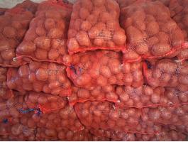 Esmee burgonya eladó 15 kg zsákokban