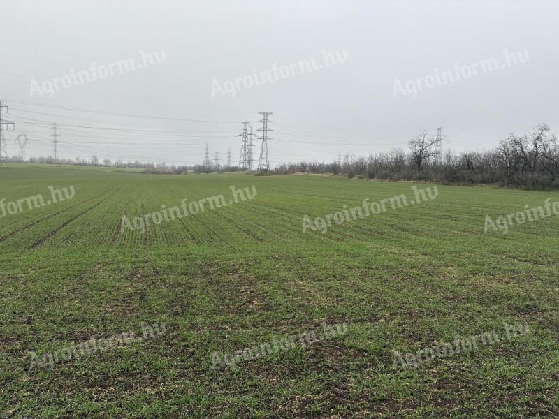Győrben 4,32 hektár szántó eladó