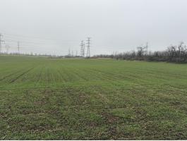 Győrben 4,32 hektár szántó eladó