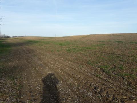 Eladó szántóföld Somogy megyében fejlesztési lehetőséggel