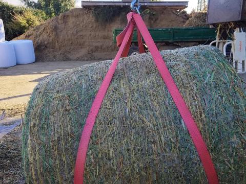 Csomagolt szudánifű bálák eladók