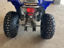 Yamaha YFS 200 (Blaster)