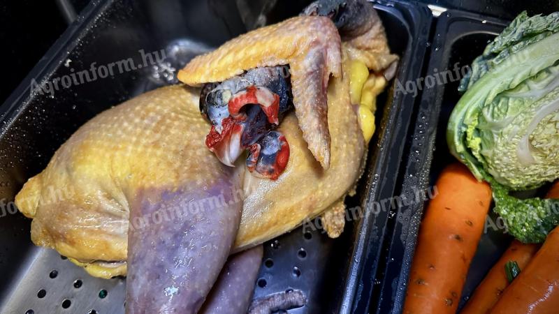 Konyhakész tanyasi csirkét, tyúkot, kacsát, gyöngyöst, libát és kakast vásárolnék