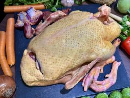 Szárnyasok felvásárlása