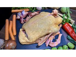 Szárnyasok felvásárlása