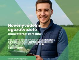 Növénytermesztési ágazatvezető