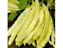 Juliska karós bab vetőmag – vegyszermentes, régi magyar futóbab