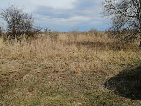 Szántóföld+ nádas eladó