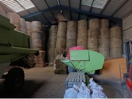 Eladó hengerbálás szalma Mezőkövesden