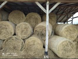 Széna bála eladó