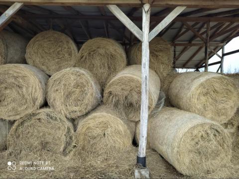 Széna bála eladó