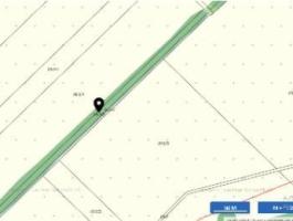 Szürke nyár fasor eladó Óhídon