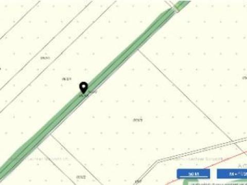 Szürke nyár fasor eladó Óhídon