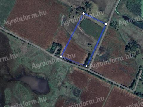 Eladó 5,8 hektár legelő és szántó Tömörkényen