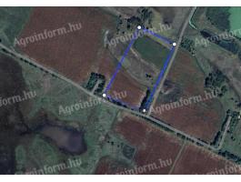 Eladó 5,8 hektár legelő és szántó Tömörkényen