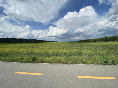 KIVÉTELES BEFEKTETÉSI LEHETŐSÉG MISKOLC HATÁRÁBAN AZ IPARI PARK MELLETT 23,5 HEKTÁROS TERÜLET