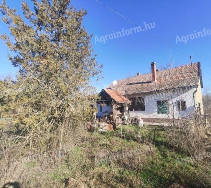 Eladó egybefüggő 9,6 hektáros terület ingatlanokkal együtt