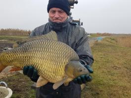 Akció! Feeder ponty 6-9 kg eladó, 1900 Ft/kg