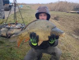 Extra ponty: 7–20+ kg előjegyezhető, szaktanácsadás