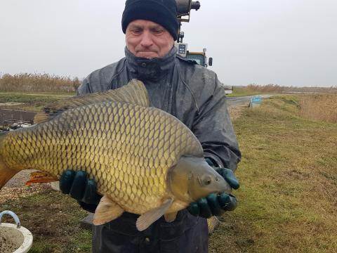 Extra ponty: 7–20+ kg előjegyezhető, szaktanácsadás