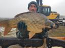 Extra ponty: 7–20+ kg előjegyezhető, szaktanácsadás