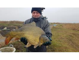 Feeder ponty 6-9 kg eladó, 2600 Ft/kg