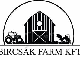 Fejős munkatársat keresünk tehenészetbe