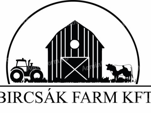 Fejős munkatársat keresünk tehenészetbe