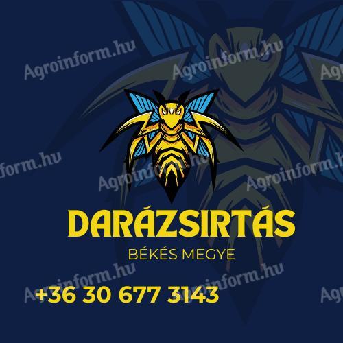 Darázsirtás Szarvas és vonzáskörzetében
