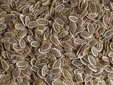 Retro kapormag – nem boltimag, eladó