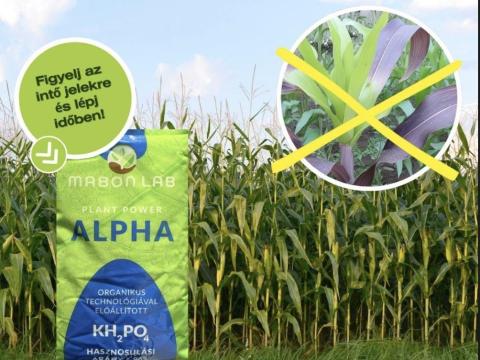 Kiemelt jutalékos partnereket és üzletkötőket keresünk – Prémium technológia