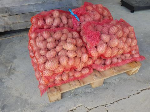 Balatoni Rózsa és Démon étkezési burgonya eladó Balatoni Rózsa és Démon étkezési burgonya eladó