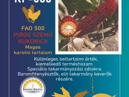 Piros szemű kukorica vetőmag