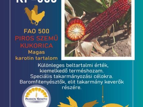 Piros szemű kukorica vetőmag