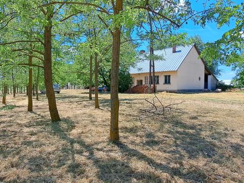 Külterületi ingatlan eladó Tótkomlóson – sokoldalú felhasználási lehetőségekkel