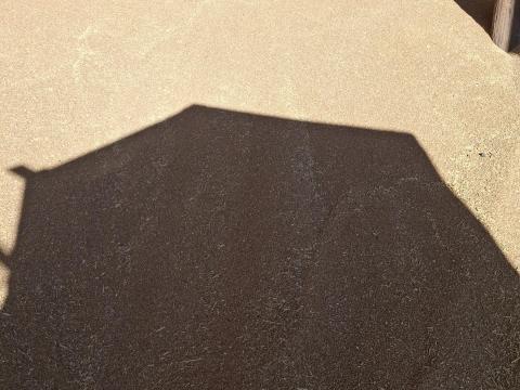 Takarmánybúza készleten elérhető, bálázó csere érdekel