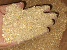 Magkeverék gyógynövényekkel, tojótáp tojótyúkok számára – Nioska G 25 kg