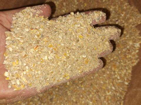 Magkeverék gyógynövényekkel, tojótáp tojótyúkok számára – Nioska G 25 kg