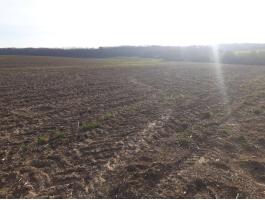 Eladó 9 hektáros termőföld Somogy megyében fejlesztési lehetőséggel