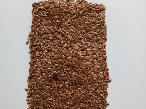 Olajlen visszavetésre Olajlen visszavetésre