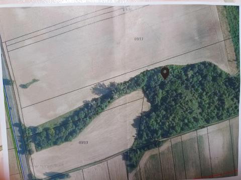 Eladó legelő Kereki külterületén Eladó legelő Kereki külterületén