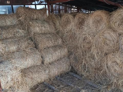 Kis szénabála eladó