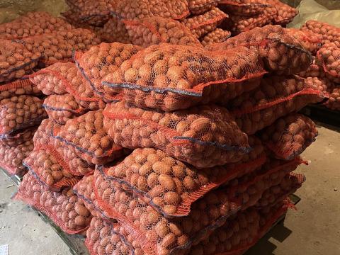 Vető méretű Esmee burgonya eladó Vető méretű Esmee burgonya eladó