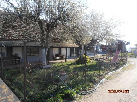 Abonyban 6400m2-es tanya eladó-2db felújított ház(130-60m2)napelem, medence, garázs, új tető, 20éves gyümölcsös és akácos, központi fűtés, kemence, stb...stb...PEST MEGYÉBEN A LEGJOBB Abonyban 6400m2-es tanya eladó-2db felújított ház(130-60m2)napelem, medence, garázs, új tető, 20éves gyümölcsös és akácos, központi fűtés, kemence, stb...stb...PEST MEGYÉBEN A LEGJOBB