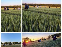 Mezőgazdasági munkavégzés országosan, akár 100 főig