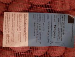 Bellarosa vető méretű burgonya