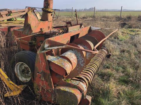 Szecskàzó Szecskàzó