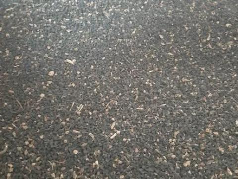 Hagyma mag Hagyma mag