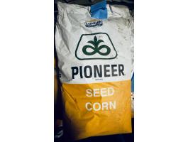 Pioneer 9415 kukorica vetőmag eladó