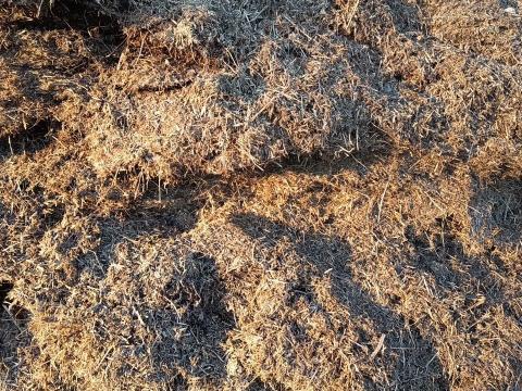 Eladó jó minőségű lucerna szenázs nagy tételben Eladó jó minőségű lucerna szenázs nagy tételben